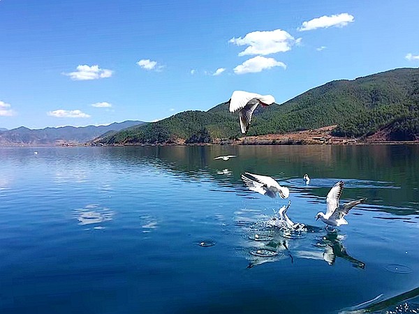 《泸沽湖美景》