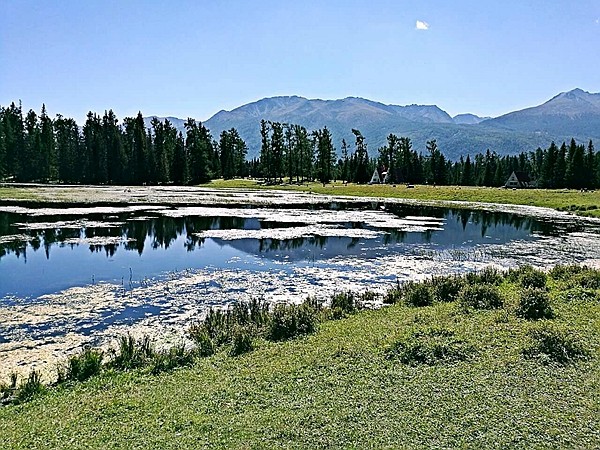 额尔齐斯大峡谷