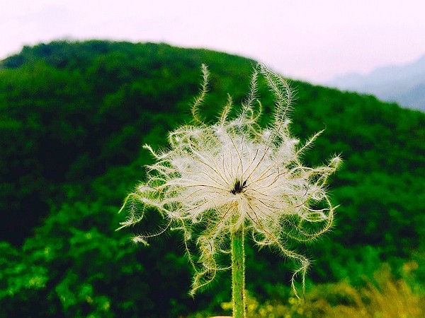 闲步野外